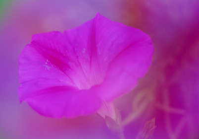 �q�[�����O�@��